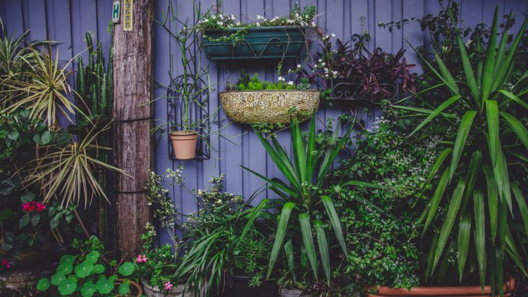 Obiecte care atrag norocul în grădina ta, potrivit Feng Shui