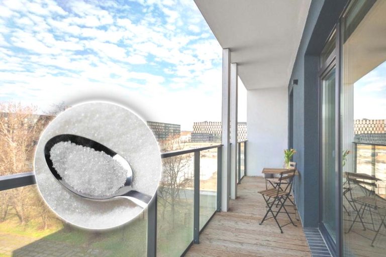 De ce este bine să lași o linguriță cu zahăr în balcon când pleci de acasă. Cât de important este acest gest
