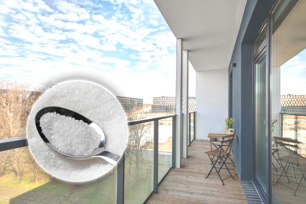 De ce este bine să lași o linguriță cu zahăr în balcon când pleci de acasă