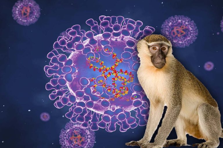 Variola maimuței ar putea duce la noi restricții de călătorie în Europa? Anunțul făcut de OMS