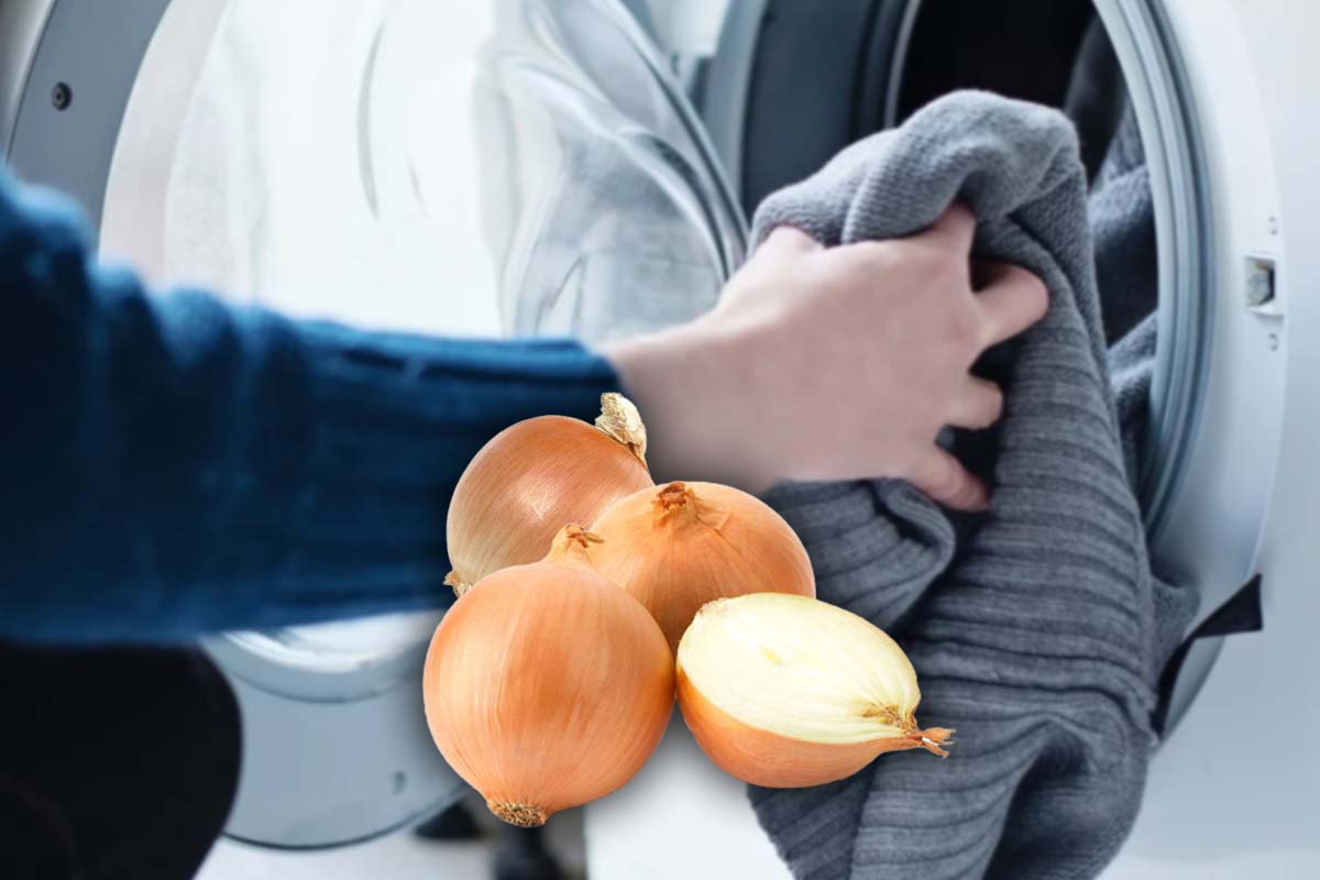 A pus patru cepe în mașina de spălat și a pornit-o