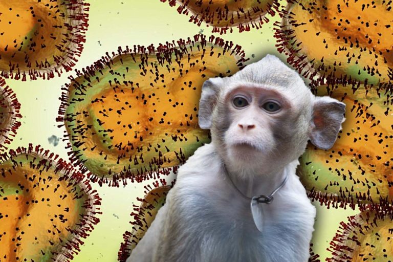 Vești alarmante despre variola maimuței. Ar putea apărea o tulpină hiper-mutantă. De ce au explodat cazurile, de fapt