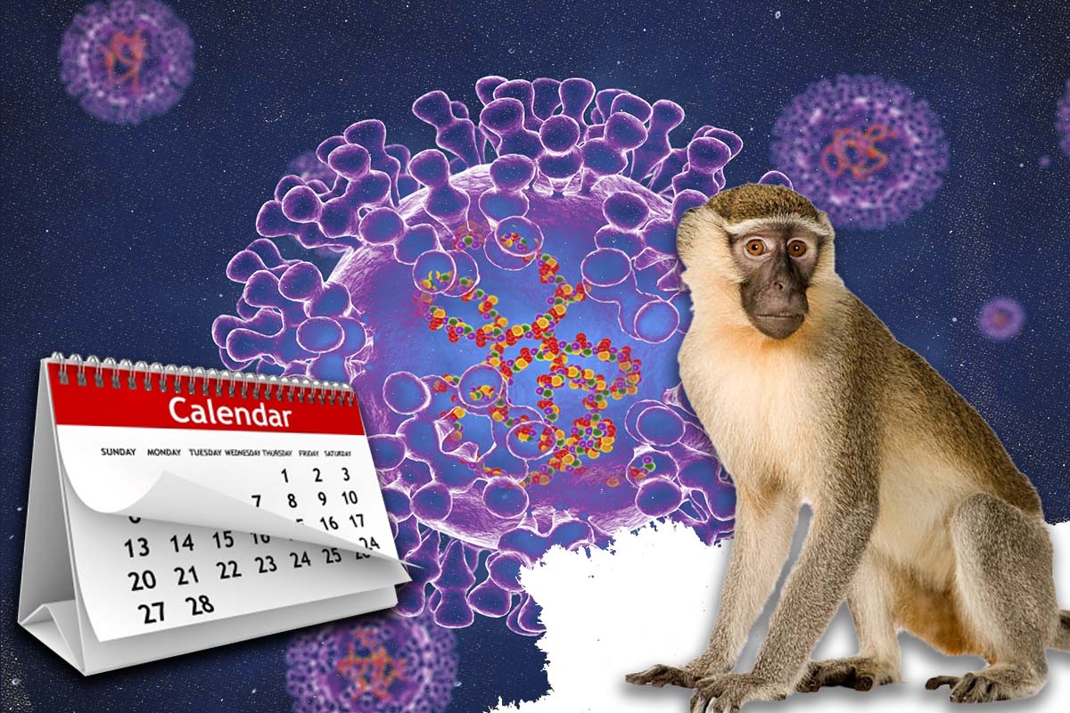 Pacienții cu variola maimuței ar putea fi infecțioși până la 10 săptămâni