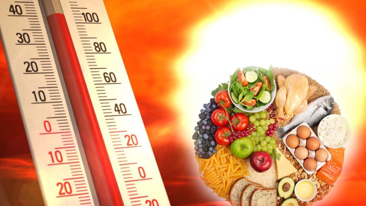 Alimente care scad temperatura corpului