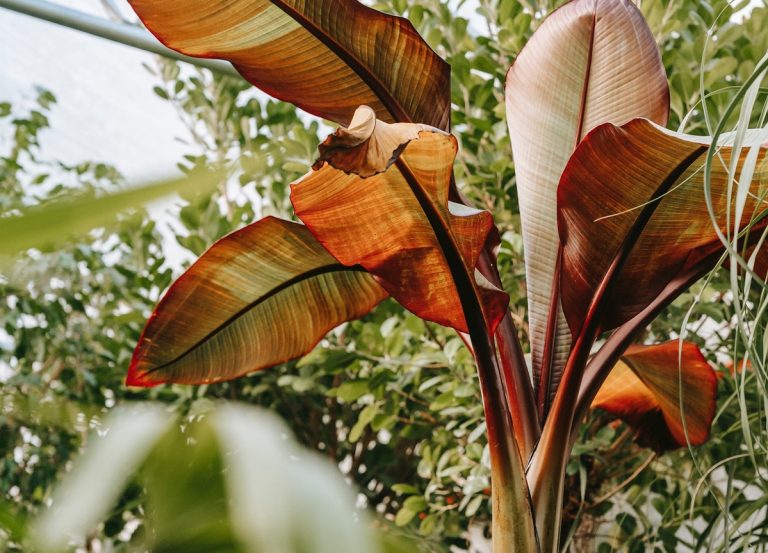 Alimente care ar putea să ne hrănească peste 30 de ani, conform specialiștilor. Lista realizată de cercetătorii londonezi