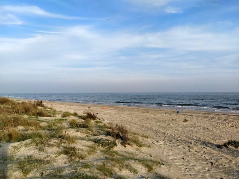 Plaja Corbu 2022. Care este taxa de acces și ce reguli sunt pentru camping