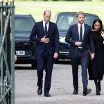 Prinții William și Harry, 45 de minute de negocieri înainte să iasă împreună în public la Windsor