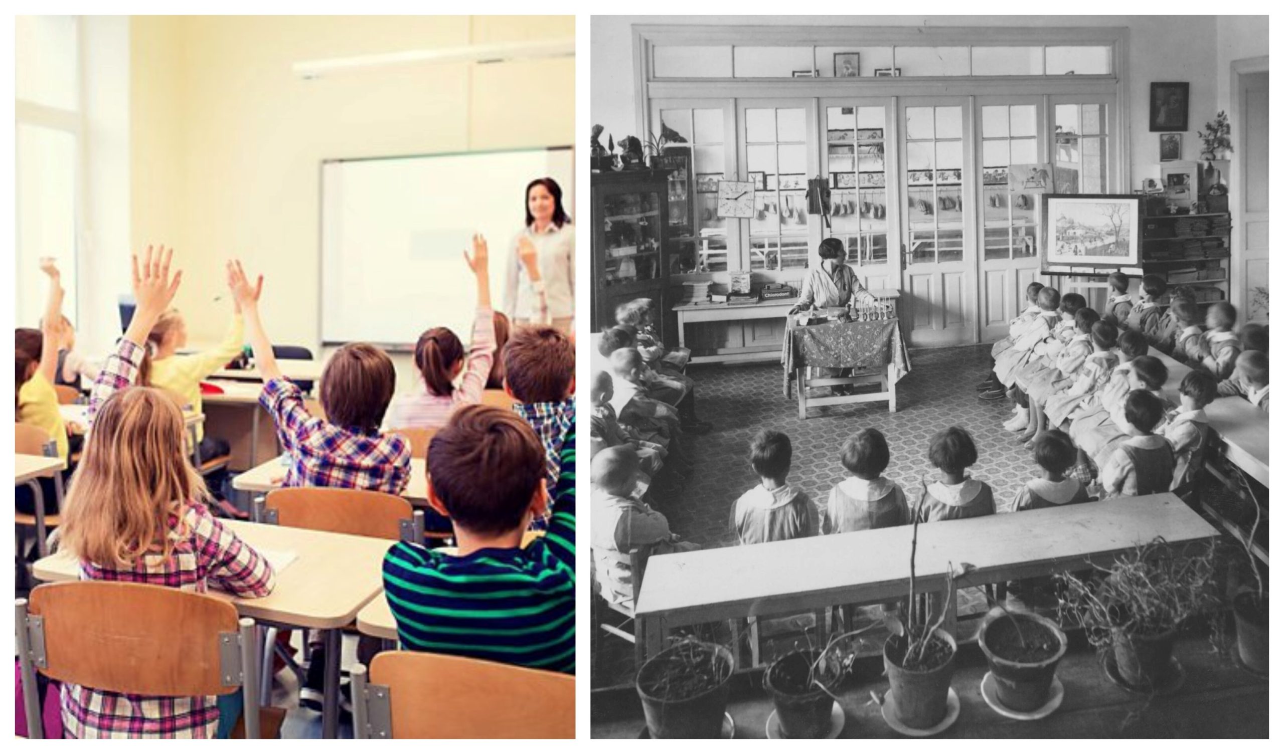 Cine a inventat școala