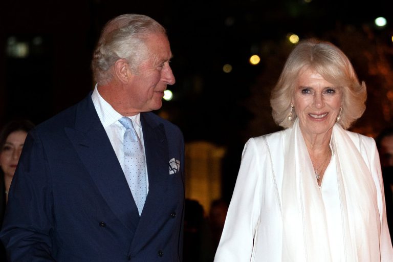 De ce s-a căsătorit Regele Charles cu Diana, deși era îndrăgostit de Camilla. Detalii mai puțin știute
