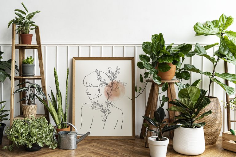 Plantele care îți fură energia. Scapă de ele dacă le ai în casă