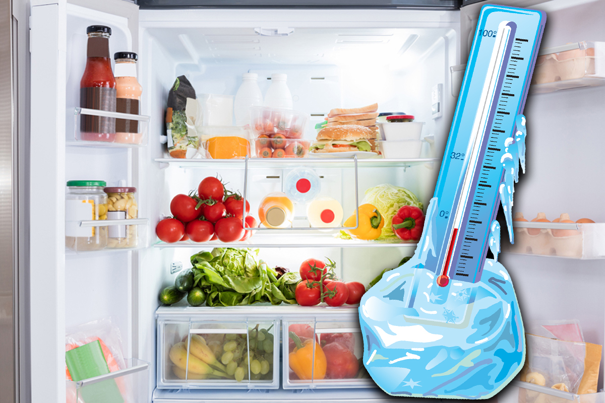 Temperatura la care trebuie setat frigiderul pentru un consum mai mic de energie electrică