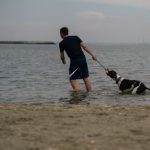 Noaptea Albă a Filmului Românesc 2022