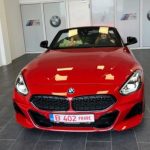 Simona Halep, zi de naștere