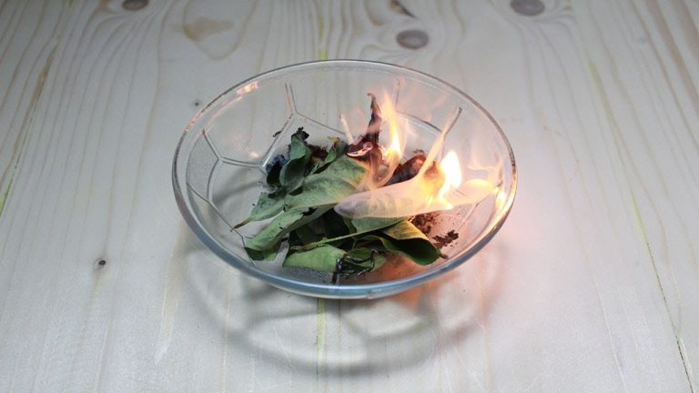De ce este bine să arzi o frunză de dafin în casă. Trucul nebănuit