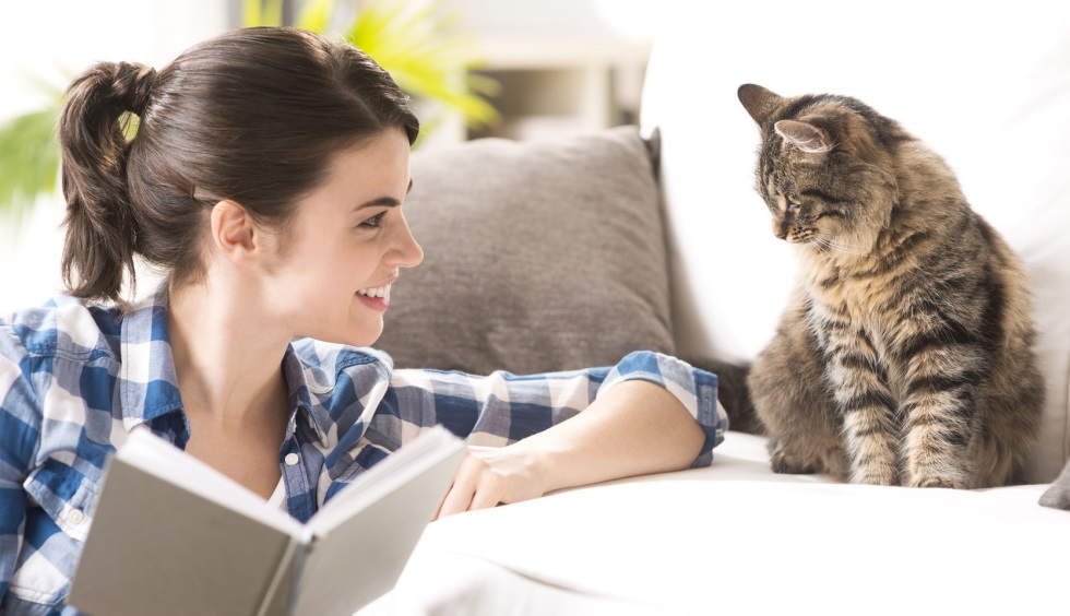 De ce pisica nu vrea să se uite în ochii tăi