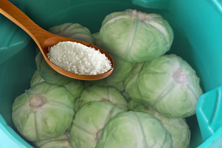 Ingredientul secret care păstrează zeama de la varza murată delicioasă și limpede. Trucul gospodinelor iscusite
