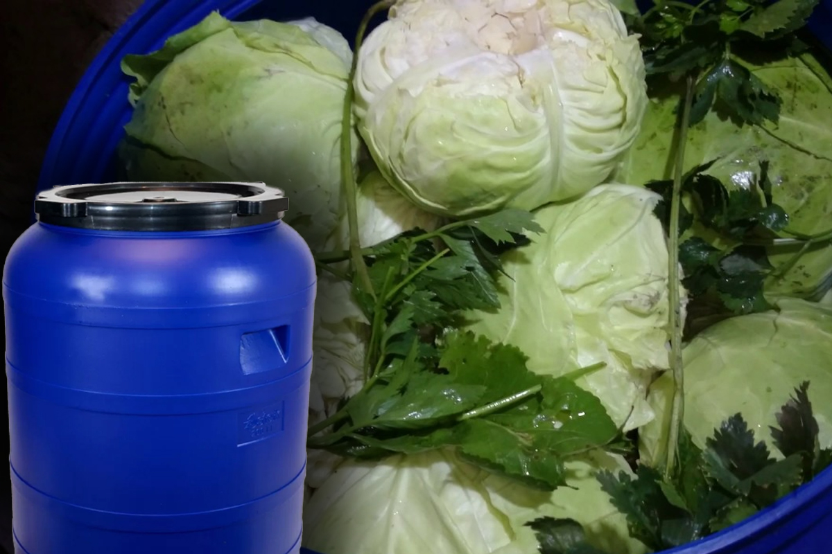 Secretul pentru ca varza murată să nu facă niciodată floare