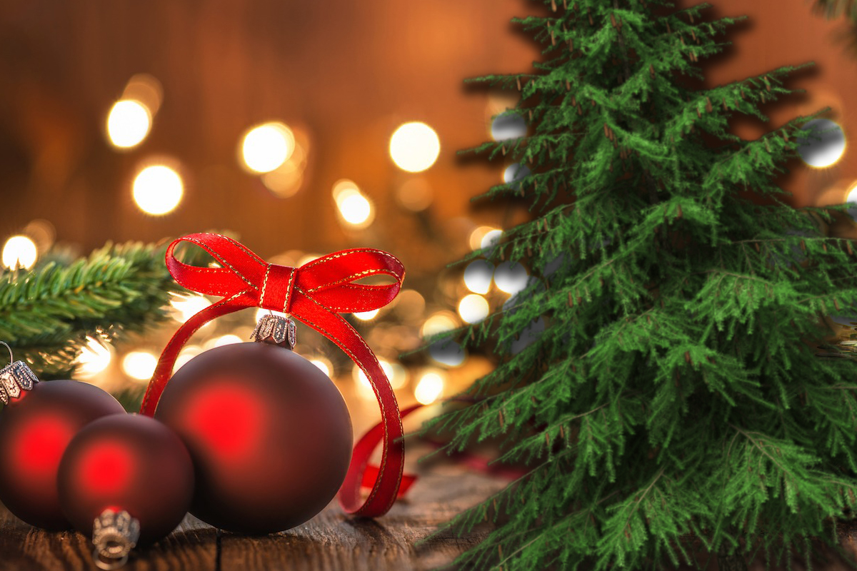 Ce să faci ca bradul să reziste mai mult timp