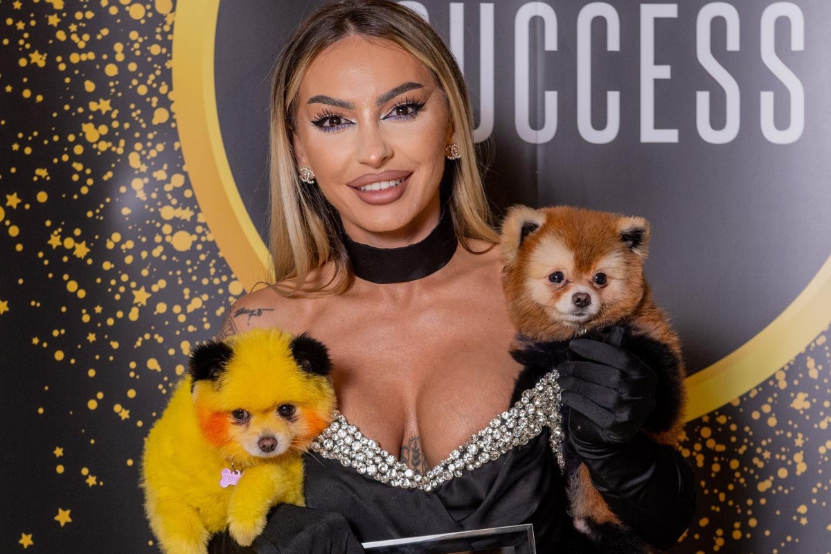 Noua tehnică în materie de toaletaj pentru animale