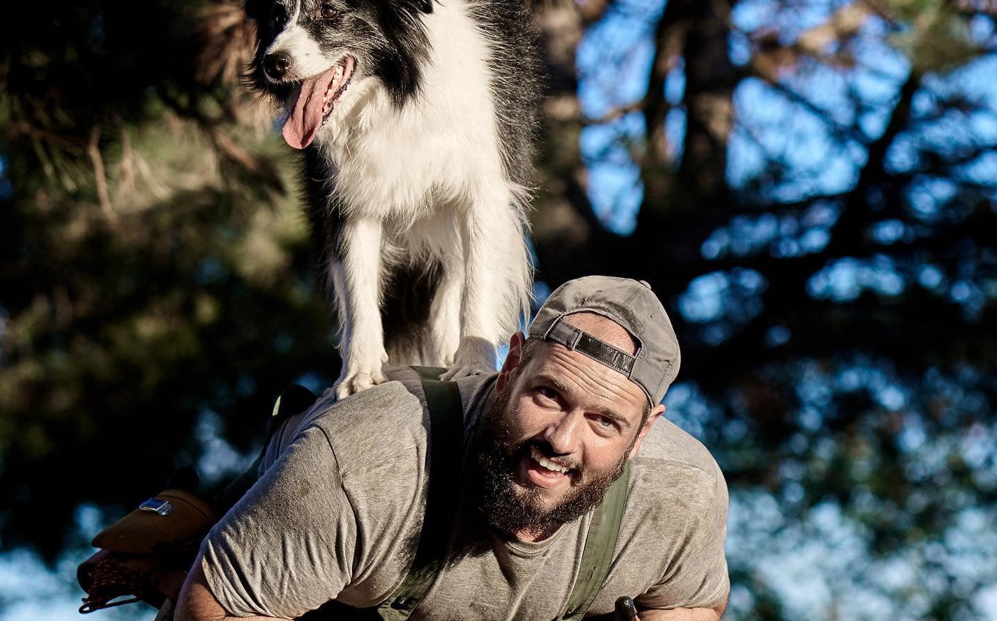 Cine este Matei Dima