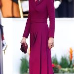 Cum arată Viva Magenta, culoarea anului 2023 8