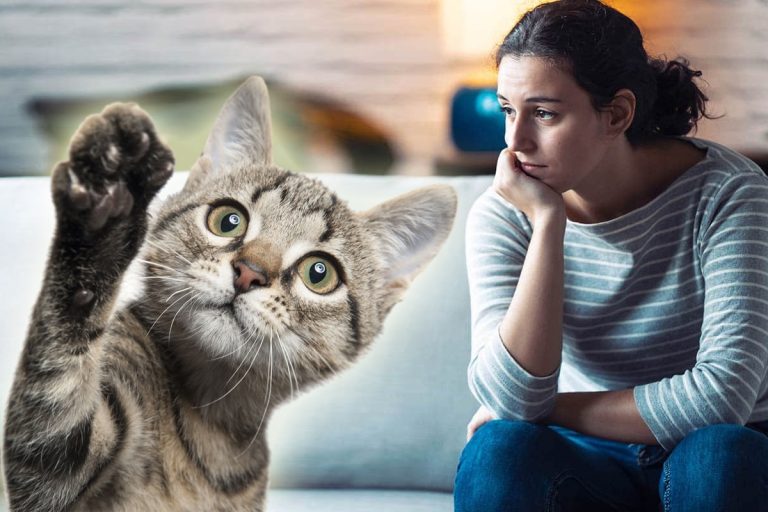 De ce ar trebuie să pui iarna la geamurile casei nisip din litiera pisicilor. Trucul care te scapă de o mare problemă