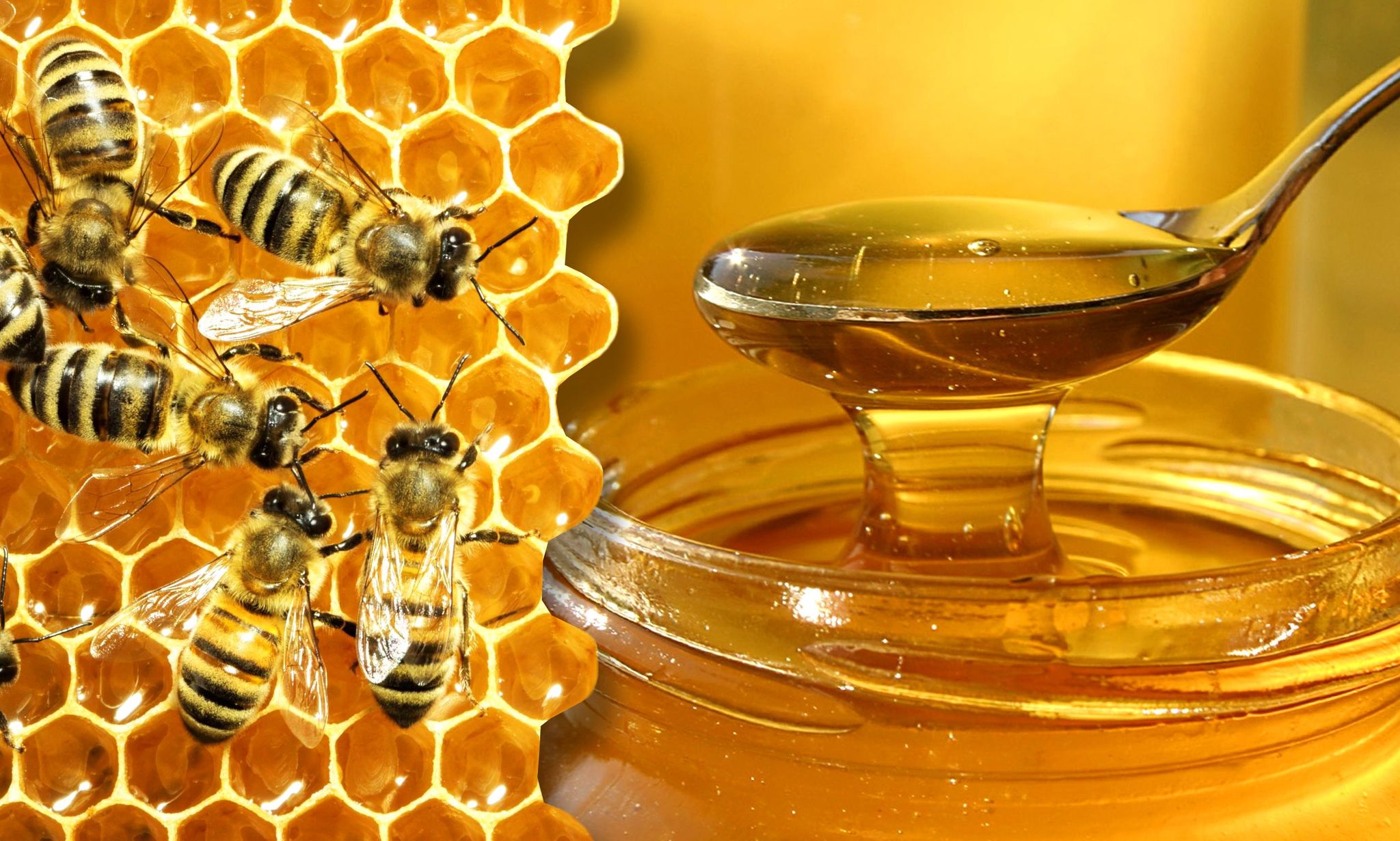 Câtă miere să mănânci zilnic