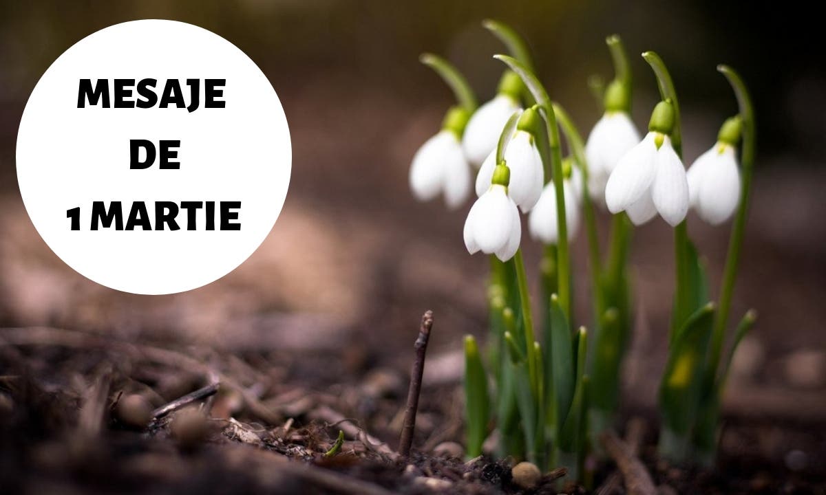 Mesaje de 1 Martie 2023