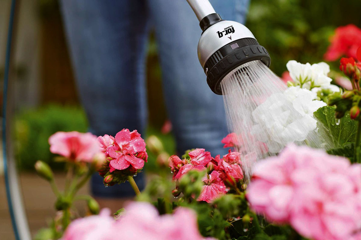 A pulverizat oțet pe plantele din grădină, iar în câteva zile totul s-a schimbat