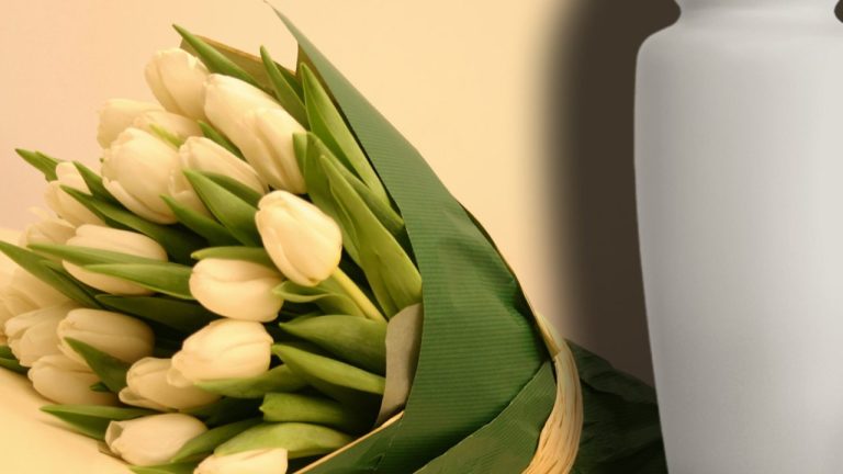 Ce flori se oferă de 8 Martie. Orice femeie trebuie să le primească în luna martie