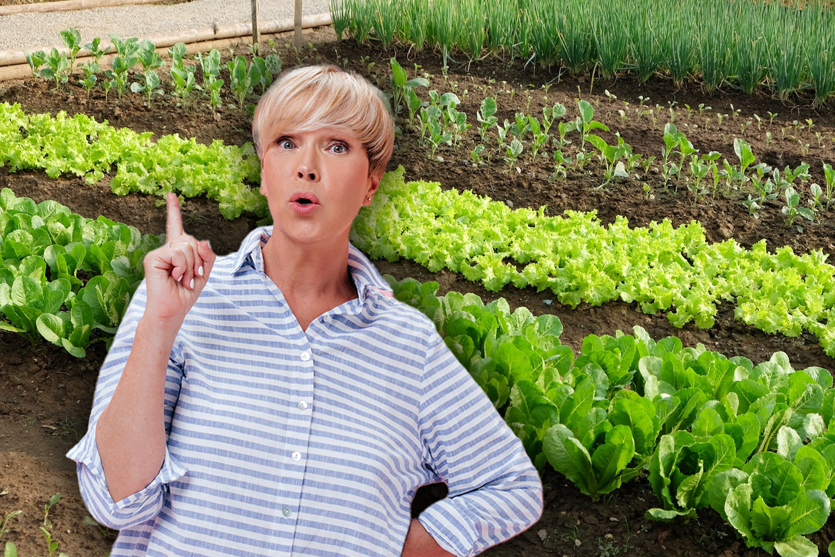 Ce să presari în grădină pentru a scăpa de buruieni