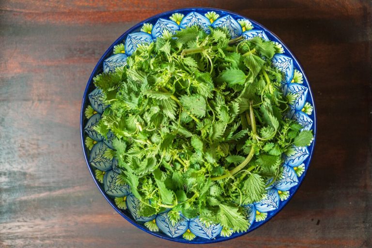 Secretul pentru cea mai bună mâncare de urzici. Cât timp se lasă de fapt la fiert