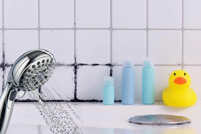 Cum să scapi de mucegaiul din casa ta. Metoda simplă de mare ajutor