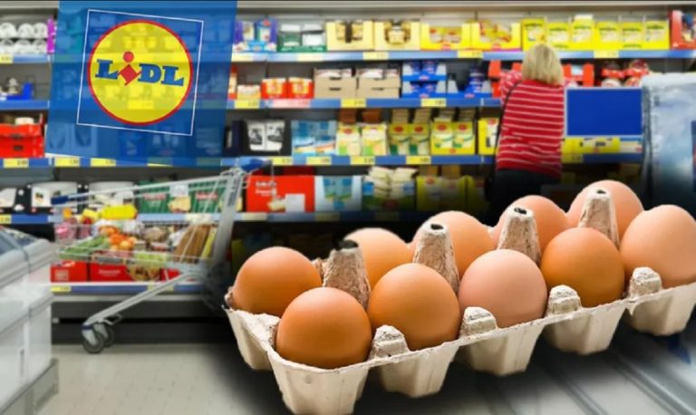 De unde provin de fapt ouăle de la Lidl. Ce înseamnă codul M sau L marcat pe ele