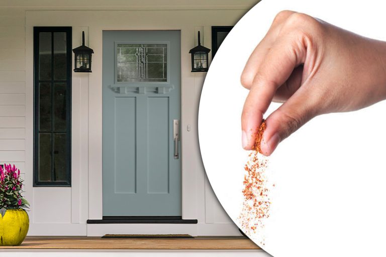 Ce trebuie să presari, de fapt, la intrarea în casă. Secretul pentru a atrage abundența în viața ta