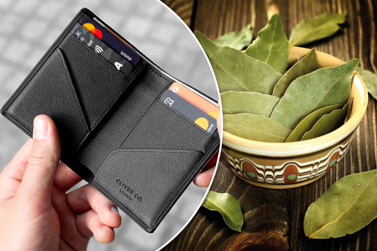 De ce ar trebui să porți o frunză de dafin în portofel