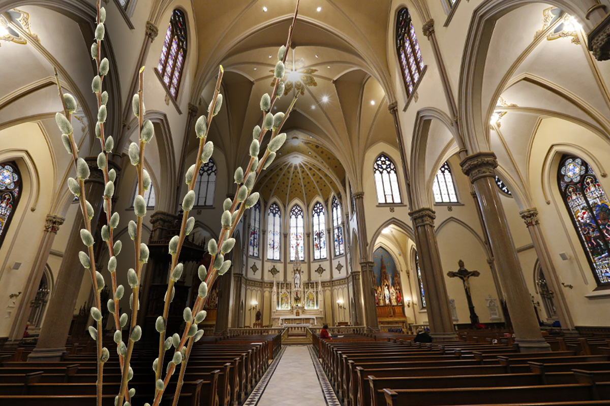 Tradiția pe care o respectă cu sfințenie catolicii de Florii