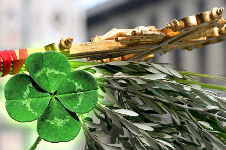 Unde este bine să pui salcia de Florii. Locul special din casă în care trebuie să o pui