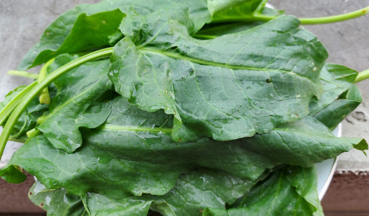 cum se gătește ștevia