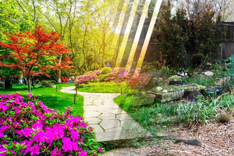 Cel mai eficient ingredient pentru combaterea dăunătorilor. Cu ce trebuie de fapt să stropești plantele. Așa te vei bucura de o grădină frumoasă