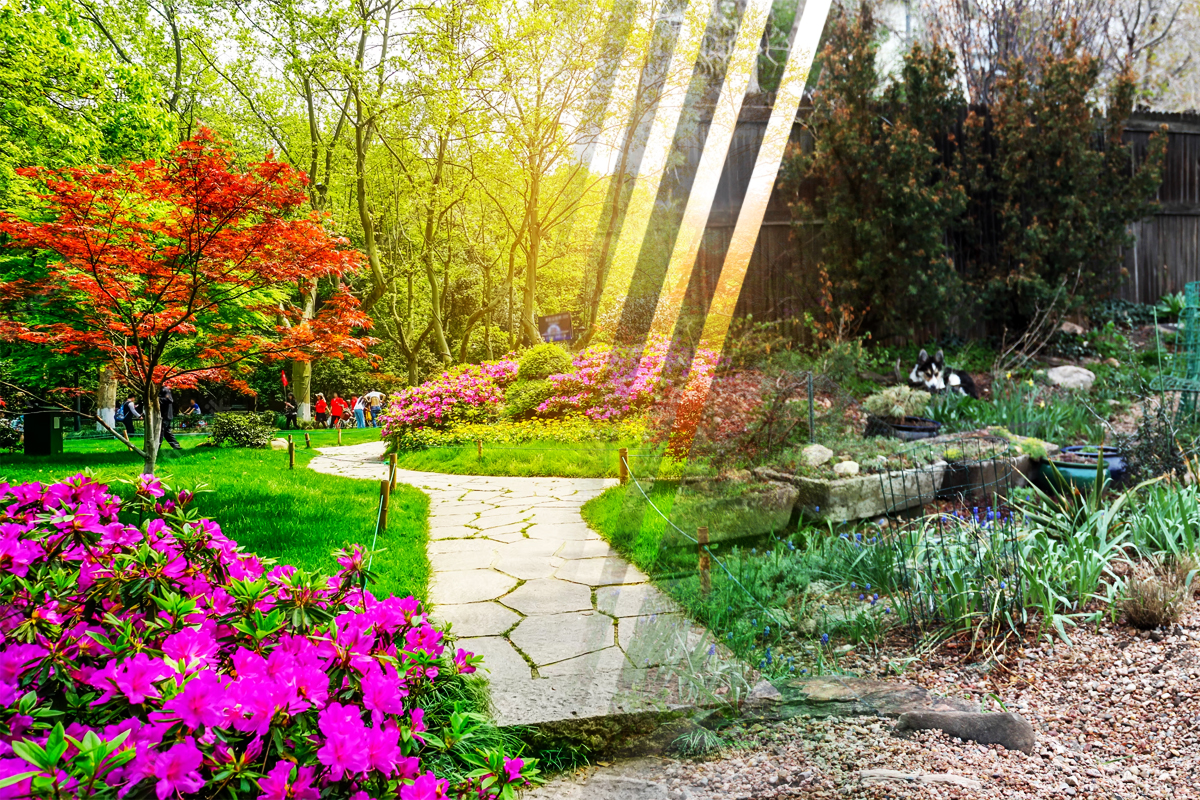 Cel mai eficient ingredient pentru combaterea dăunătorilor