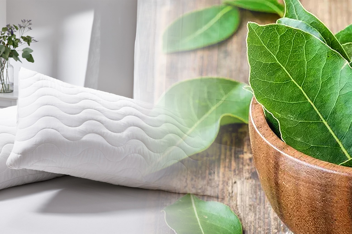 De ce să dormi cu frunze de dafin sub perne