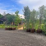 Gina Pistol și Smiley, primele imagini din ziua nunții