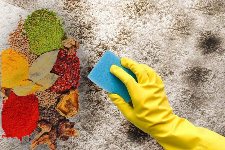 Ingredientul care elimină cele mai încăpățânate pete de pe covor. E la îndemâna oricui, cel mai ieftin și eficient truc