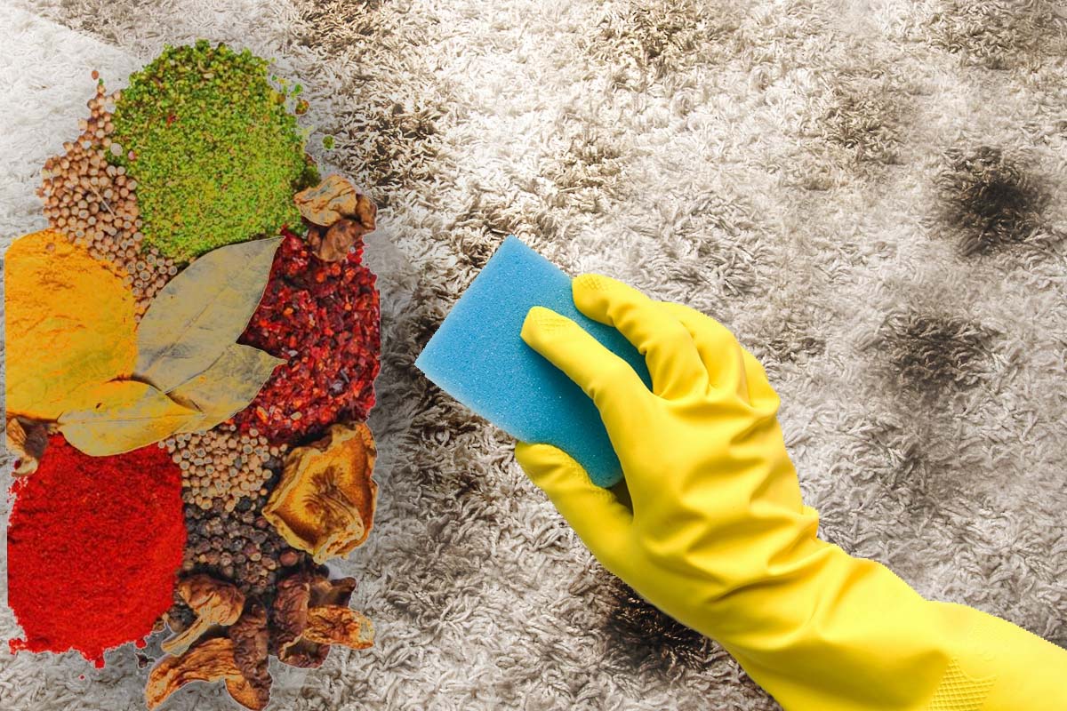 Ingredientul care elimină cele mai încăpățânate pete de pe covor. E la îndemîna oricui, cel mai ieftin și eficient truc