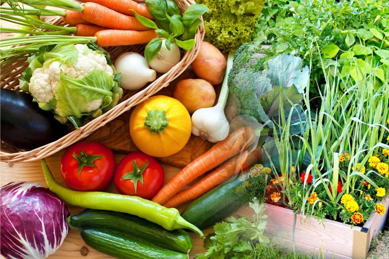 Legume care se plantează în iunie. Ce trebuie să faci pentru a te bucura de o grădină bogată