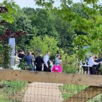 Nunta lui Smiley cu Gina Pistol, imagini de la petrecere