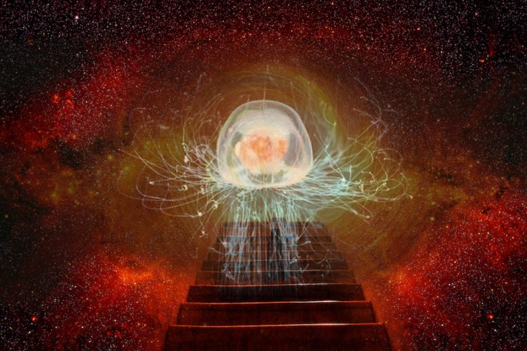 Singurul animal din lume care e nemuritor. Sigur nu știai asta. Oamenii de știință sunt uluiți