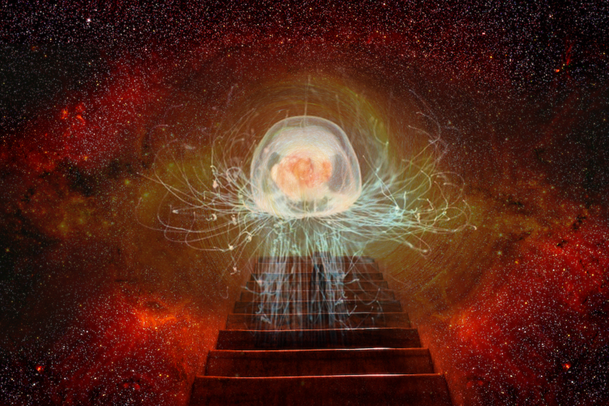 Singurul animal din lume care e nemuritor