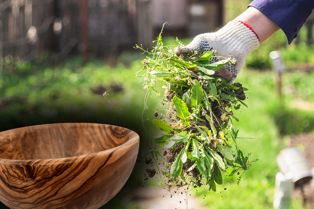 Trucul banal care te scapă definitiv de buruieni. Cu ce trebuie să stropești de fapt în grădină. Rezultatul e uimitor